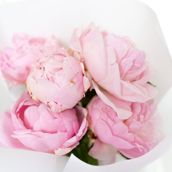 Зефирный вкус